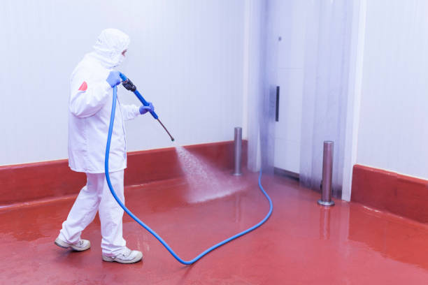 Best Oil Spill Cleanup  in Canon, GA